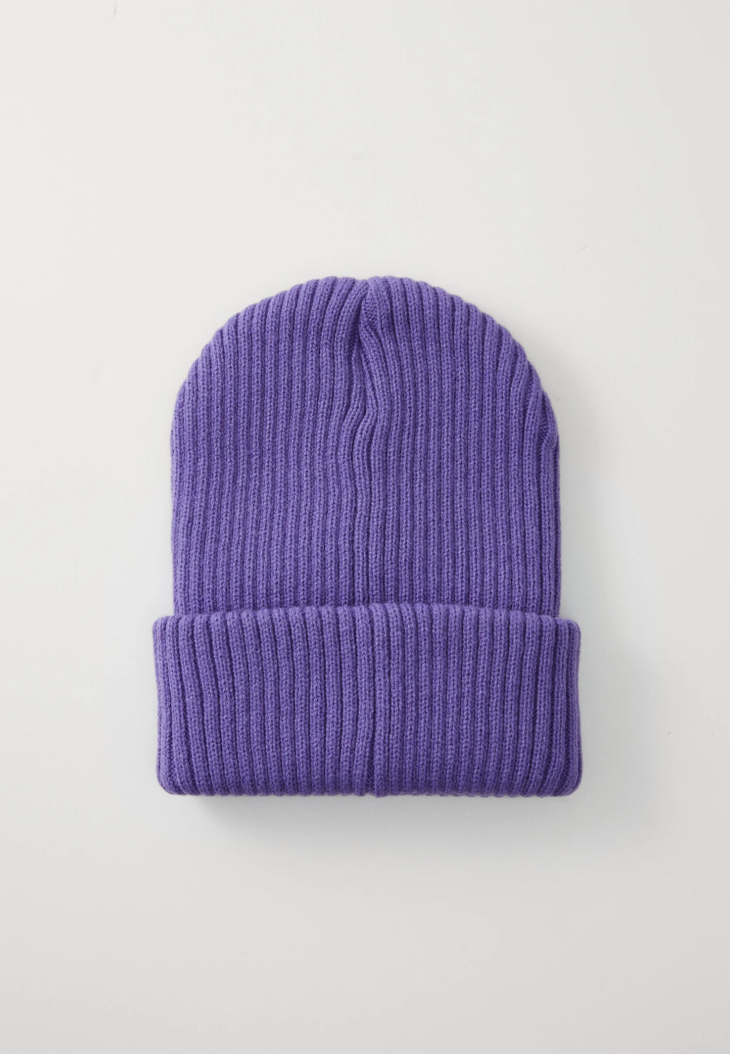 Santa Cruz Opus Dot Label Beanie Purple