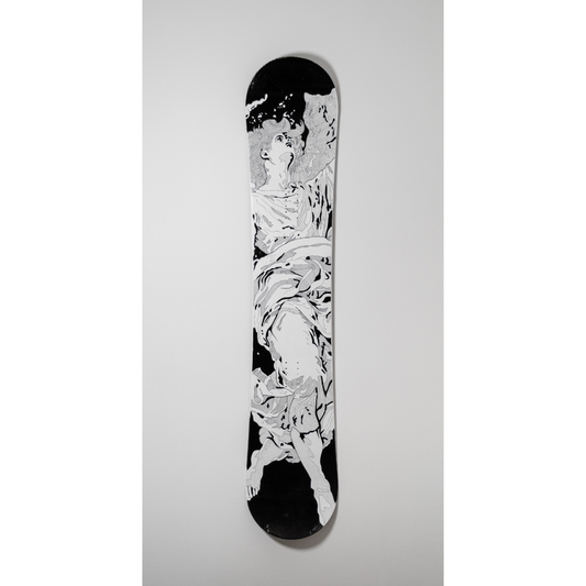 SNOWBOARD ARTIST EDITION 5