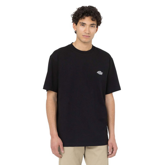 Dickies T-Shirt Summerdale Black