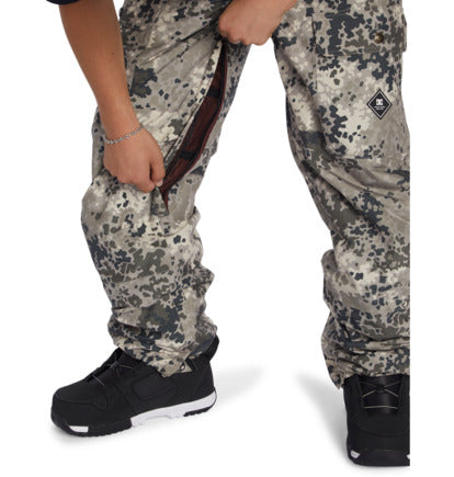 Dc shoes Code Pant Fractal