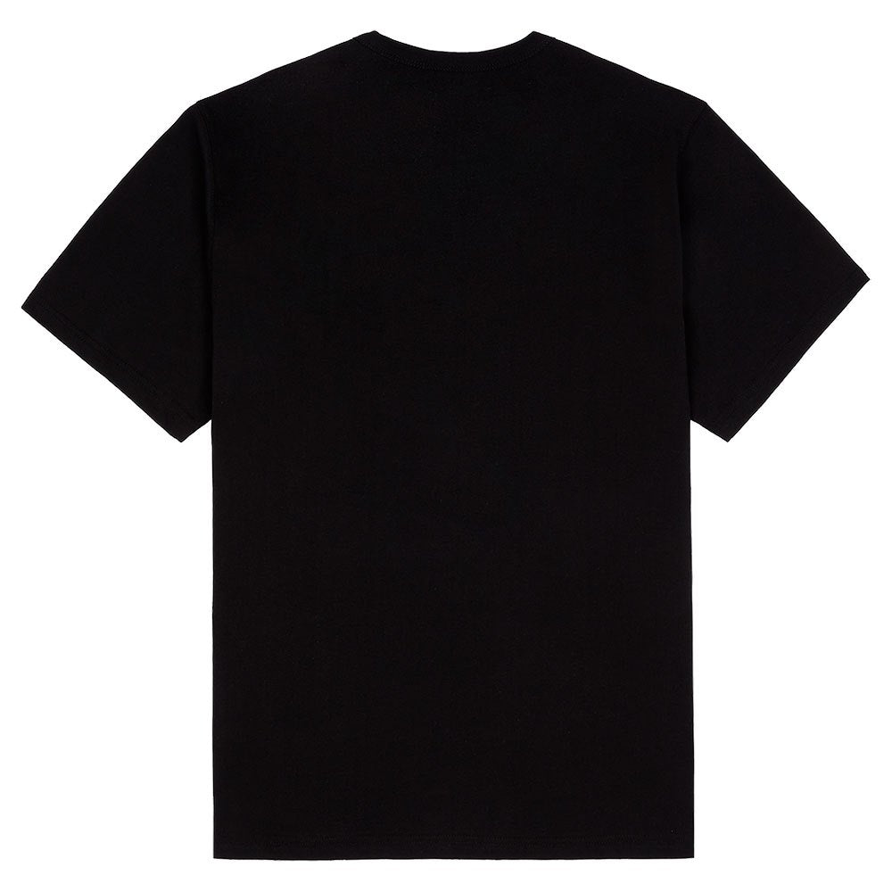 Dickies T-Shirt Summerdale Black