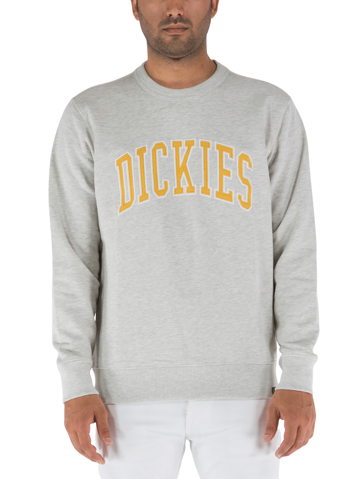 Dickies Aitkin Grey