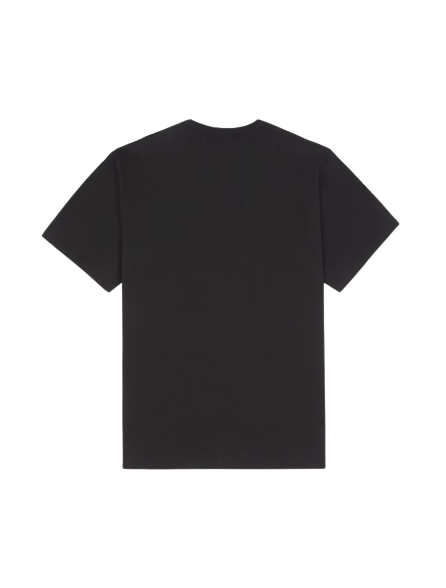 Dickies T-Shirt Porterdale Black