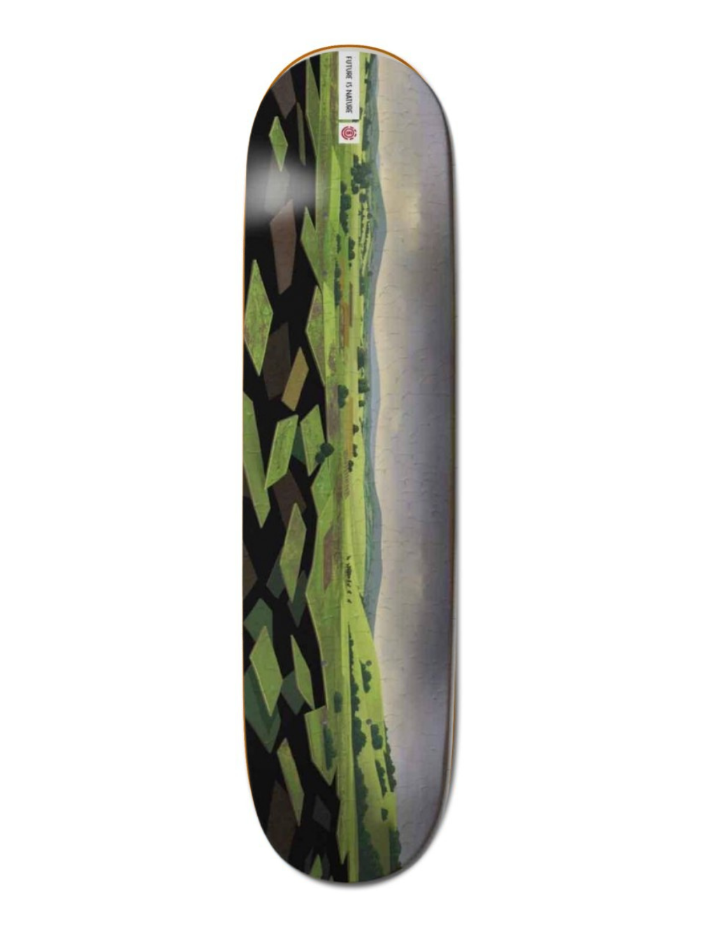 Element Landscape Asia 8"