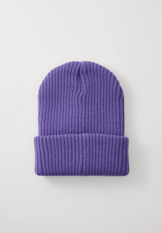 Santa Cruz Opus Dot Label Beanie Purple