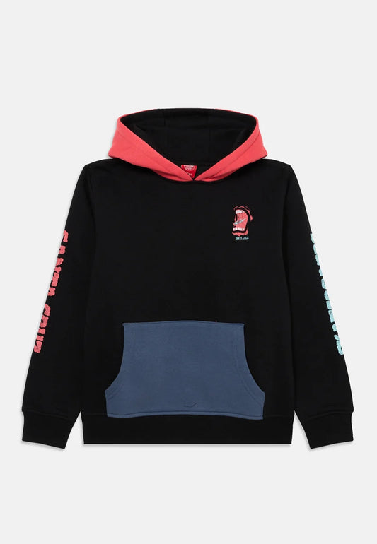 Santa Cruz Youth Screaming Connect Hoodie