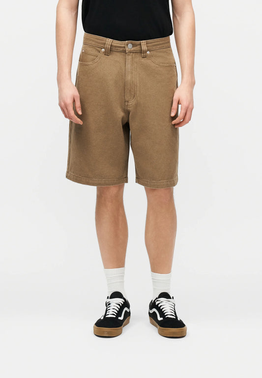 Santa Cruz Big Shorts Canvas