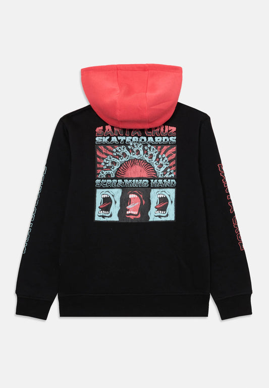 Santa Cruz Youth Screaming Connect Hoodie