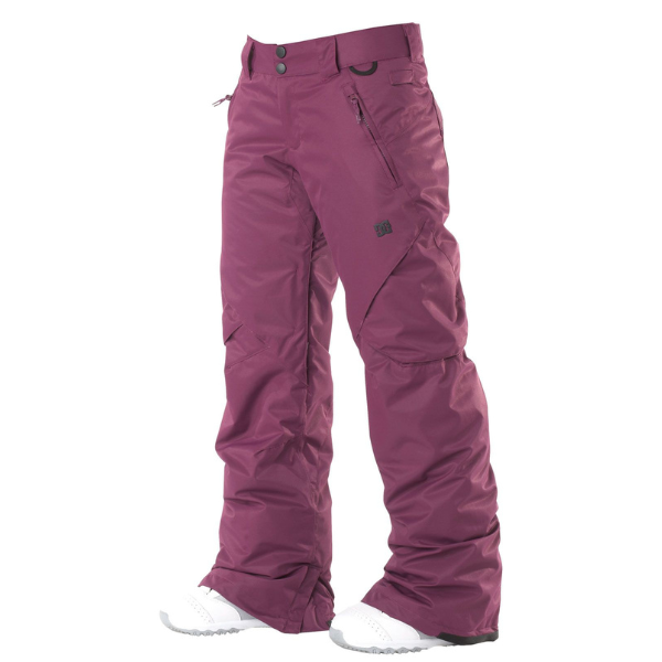DC Shoes Ace Pants Dark Purple